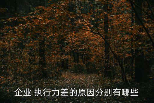 執(zhí)行不力,如何投訴*執(zhí)行不力