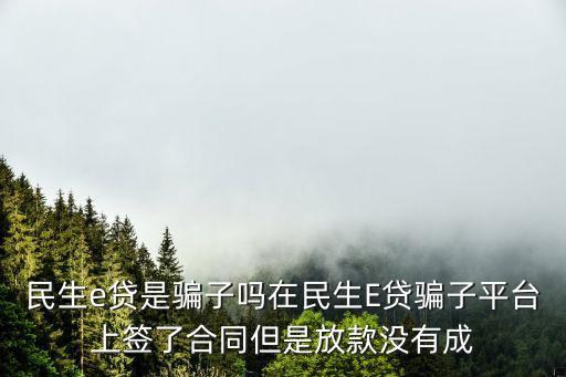 民生e貸，民生e貸是騙子嗎在民生E貸騙子平臺(tái)上簽了合同但是放款沒有成