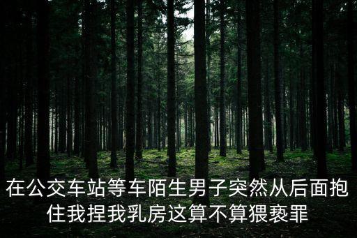公交猥褻，在公交車上被非禮了怎么辦
