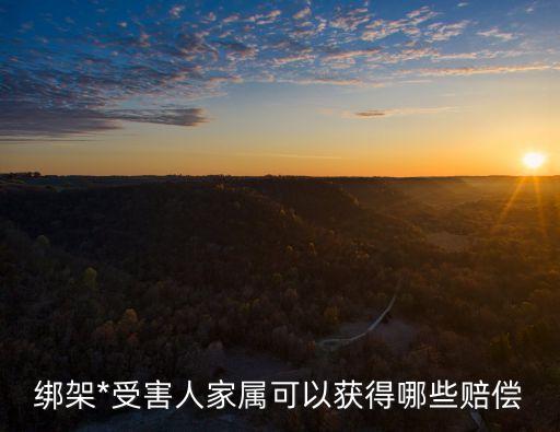 綁架*，綁架*受害人家屬可以獲得哪些賠償