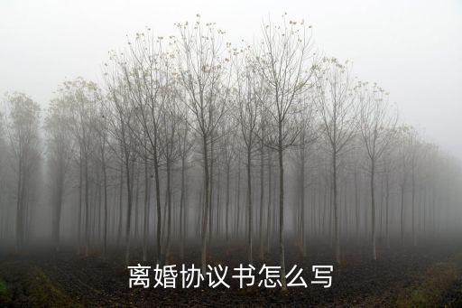 手寫離婚協(xié)議書，離婚協(xié)議書怎么寫
