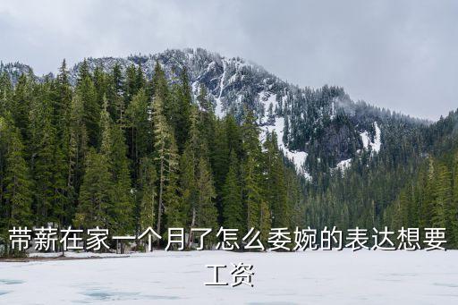 怎么委婉的要工資，帶薪在家一個月了怎么委婉的表達(dá)想要工資