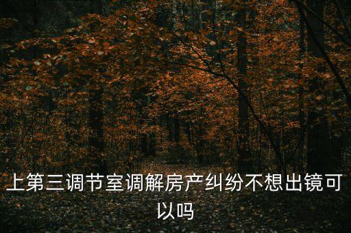第三調(diào)解室律師，怎么報名去第三調(diào)節(jié)室找陳旭律師