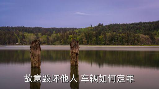 故意損壞他人車輛,醉酒故意損壞他人車輛