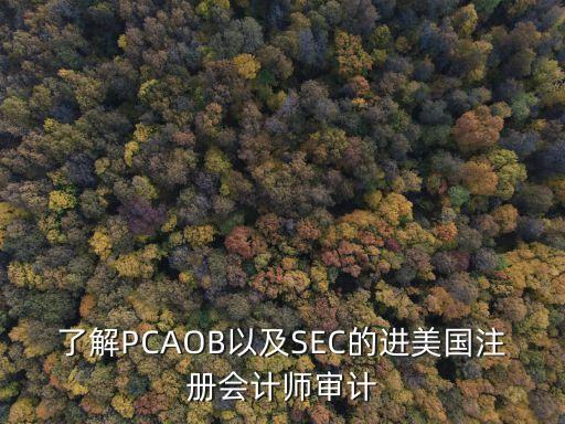PCAOB，PCAOB 和 SOX在審計(jì)業(yè)務(wù)中分別是什么意思