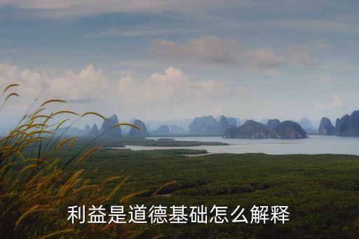 利益說，怎樣用最密切聯(lián)系原則去確定貸款合同的準據(jù)法