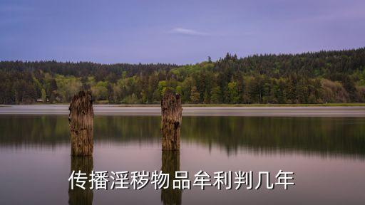 傳播淫穢物品牟利判幾年
