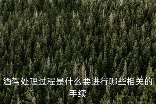 酒駕處理流程，酒后駕車(chē)處理流程