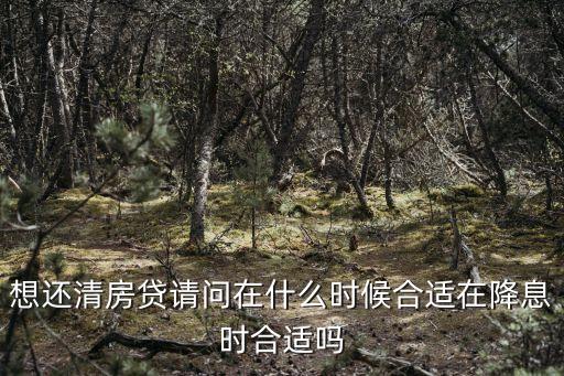 還房貸，買房還貸問題
