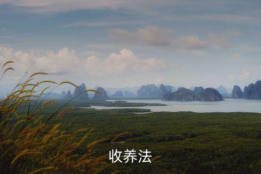 收養(yǎng)法，收養(yǎng)法的具體內(nèi)容