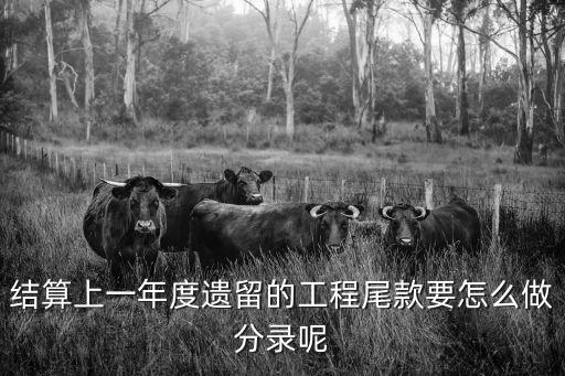 工程尾款，項目尾款應(yīng)計入會計什么科目