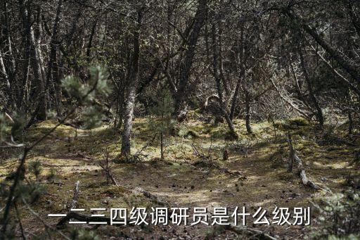 四級巡視員，一二三四級調(diào)研員是什么級別