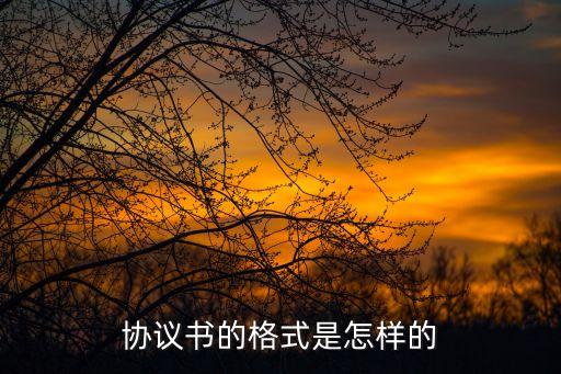 協(xié)議書范本格式，協(xié)議書格式合同
