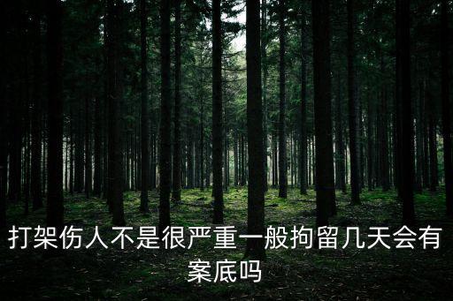 打架傷人不是很?chē)?yán)重一般拘留幾天會(huì)有案底嗎