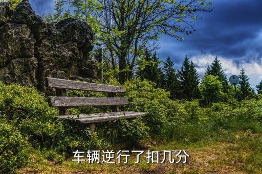 車輛逆行了扣幾分
