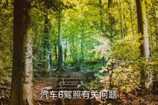 汽車B駕照有關(guān)問題