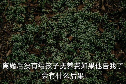 撫養(yǎng)費不給最嚴重的后果，離婚后沒有給孩子撫養(yǎng)費如果他告我了會有什么后果