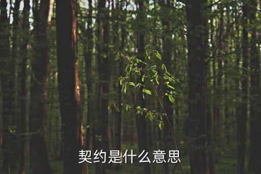 契約法，合同法是什么
