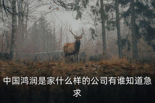 鴻潤(rùn)集團(tuán)，鴻潤(rùn)集團(tuán)能拿到中小企業(yè)國(guó)際市場(chǎng)開(kāi)拓基金嗎