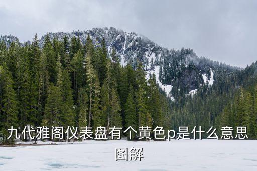 九代雅閣儀表盤有個黃色p是什么意思圖解