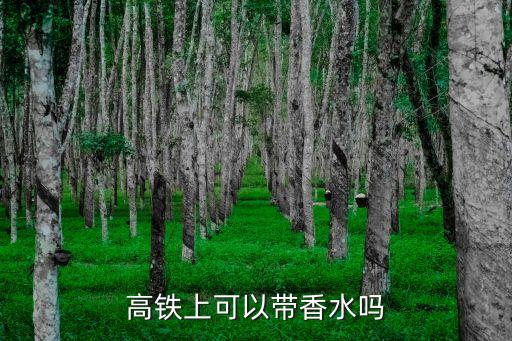 高鐵香水可以帶嗎，高鐵上可以帶香水嗎