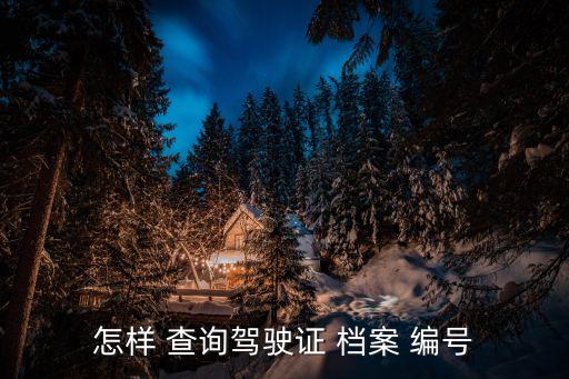 檔案編號(hào)怎么查詢,電子版駕駛證檔案編號(hào)怎么查詢