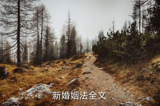 婚姻法新規(guī)，新婚姻法全文