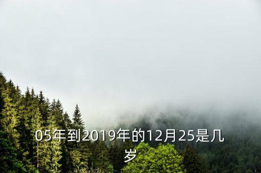 05年到2019年的12月25是幾歲