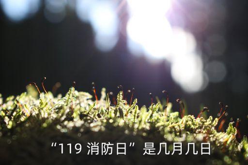 “119 消防日”是幾月幾日