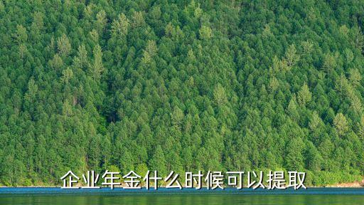 企業(yè)年金試行辦法,職工個人企業(yè)年金查詢