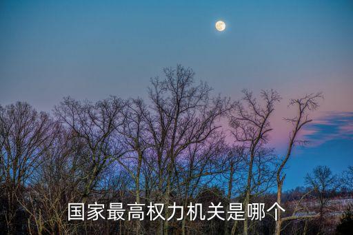 最高權(quán)利,疾速追殺最高權(quán)力