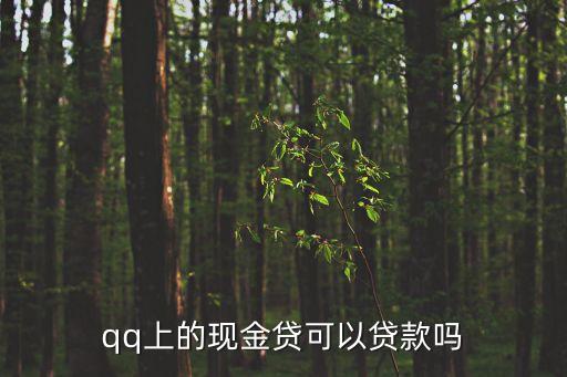 qq上的現(xiàn)金貸可以貸款嗎