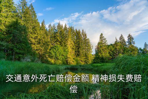 死亡賠償金計(jì)算標(biāo)準(zhǔn)，死亡賠償如何計(jì)算
