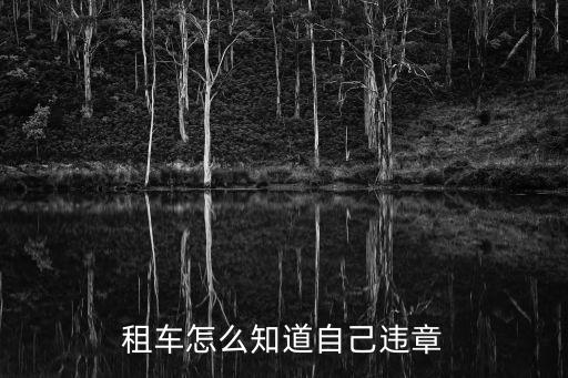 租車(chē)怎么知道自己違章