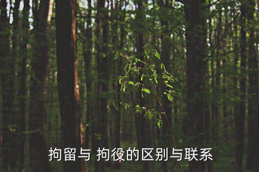 拘留和拘役的區(qū)別,拘留一般拘留多久