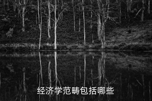 經(jīng)濟范疇，經(jīng)濟學(xué)范疇包括哪些