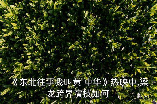 黃中華