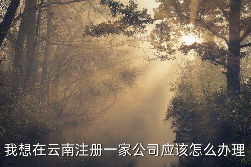 公司注冊(cè)，我想在云南注冊(cè)一家公司應(yīng)該怎么辦理