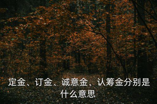  定金、訂金、誠意金、認籌金分別是什么意思