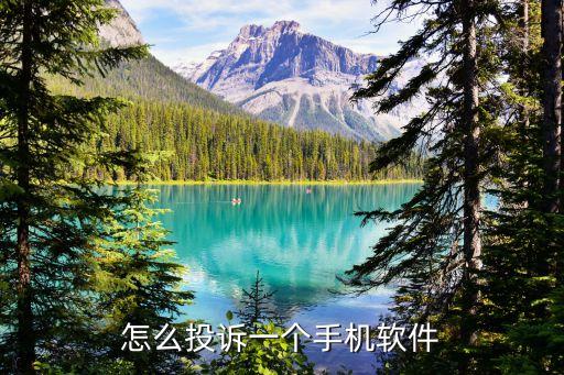 怎么投訴app，我要舉報有些軟件怎么舉報