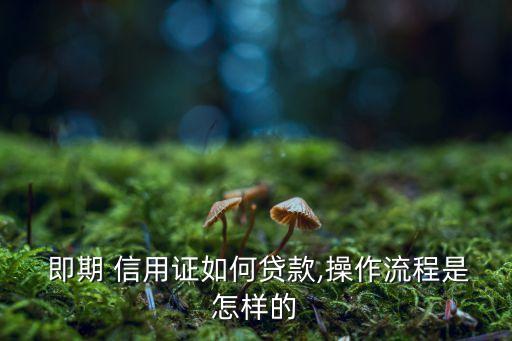 即期信用證