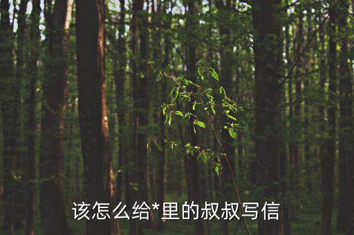 給*里的親人寫信，給*的親人寫信范文 求指點(diǎn) 跪求 很好兄弟一起混的