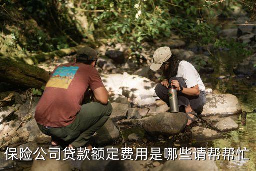 保險(xiǎn)公司貸款，保險(xiǎn)公司貸款額定費(fèi)用是哪些請(qǐng)幫幫忙