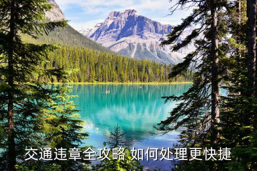 車輛違章怎么處理，車輛違章該怎么辦