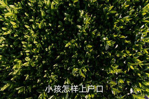 上戶，上戶口