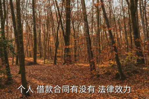 個(gè)人 借款合同有沒有 法律效力