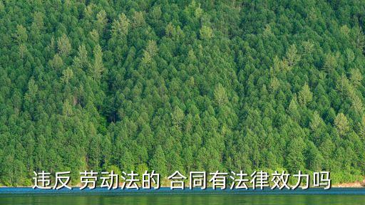 勞動(dòng)法規(guī)定簽訂勞動(dòng)合同有效嗎
