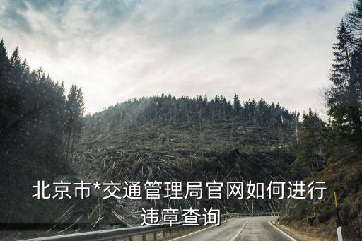  北京市*交通管理局官網(wǎng)如何進(jìn)行 違章查詢