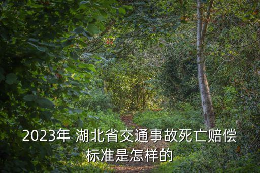 湖北省高級人民*
