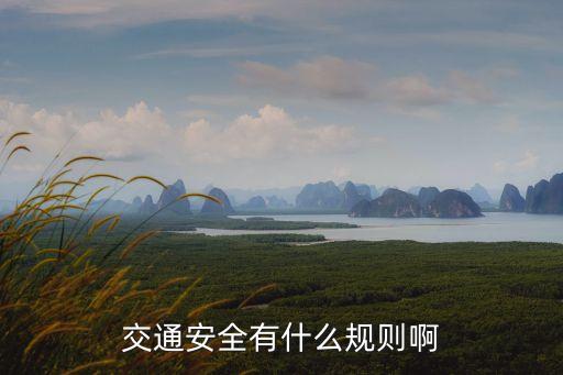 交通安全有什么規(guī)則啊